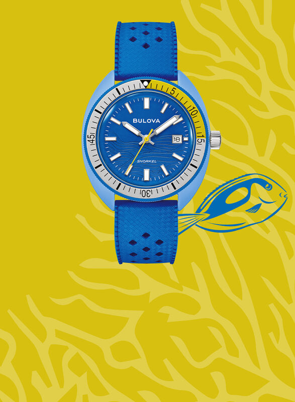 Snorkel - Blue Tang Fish